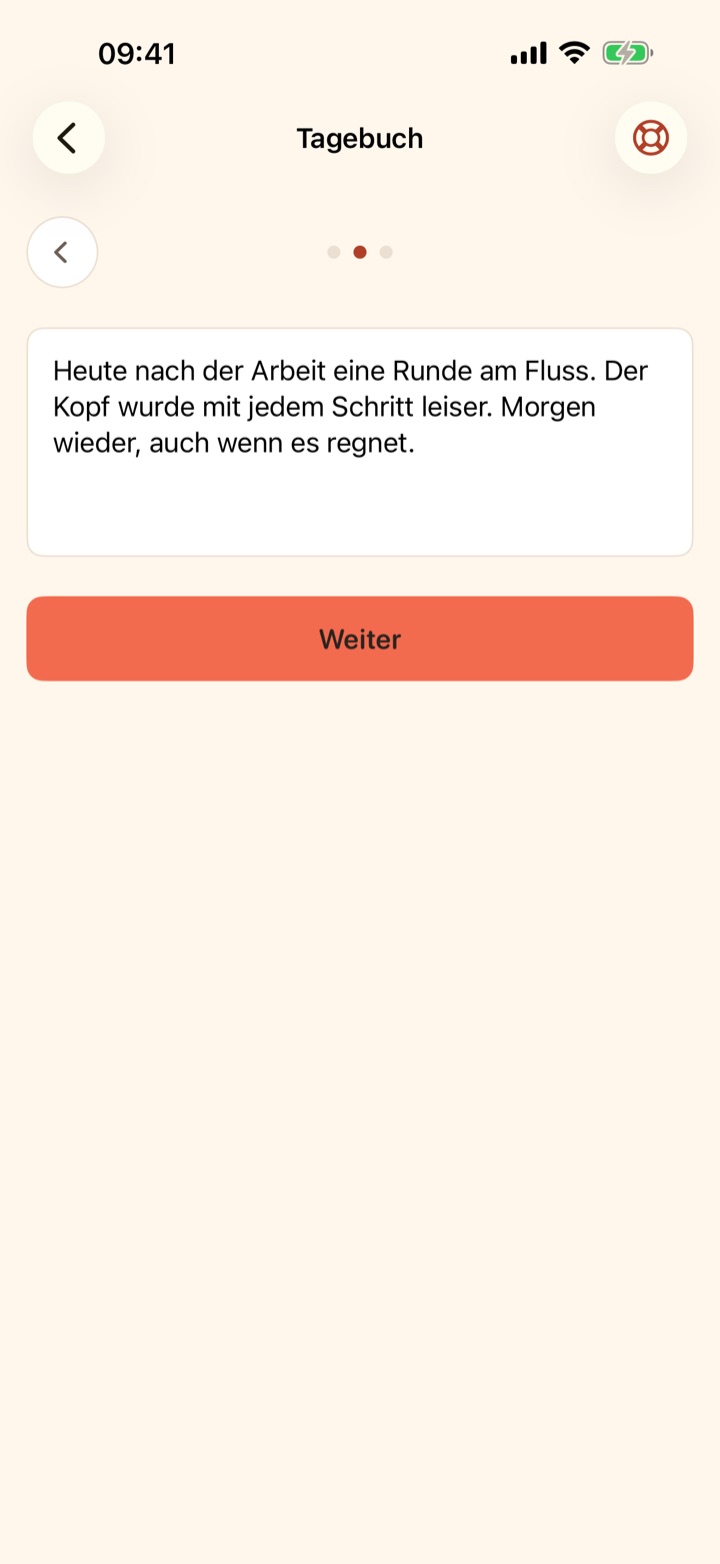 Tagebuch: ein angefangener Eintrag über eine Runde am Fluss nach der Arbeit, darunter der Knopf „Weiter